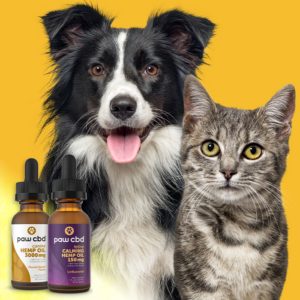 Panther Canna Pet CBD Tinctures