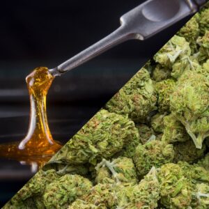 A Beginner's Guide to THC Cannabinoids in Hemp